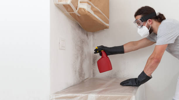 Professional Basement Mold Removal technician working in Grawn, MI